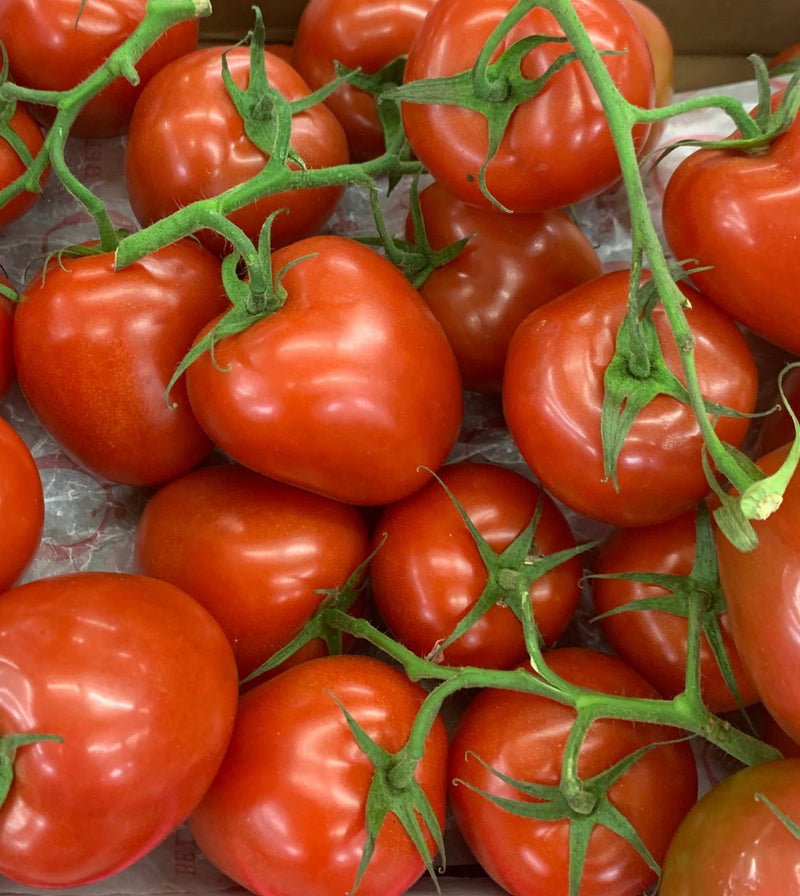 Plum Tomatoes