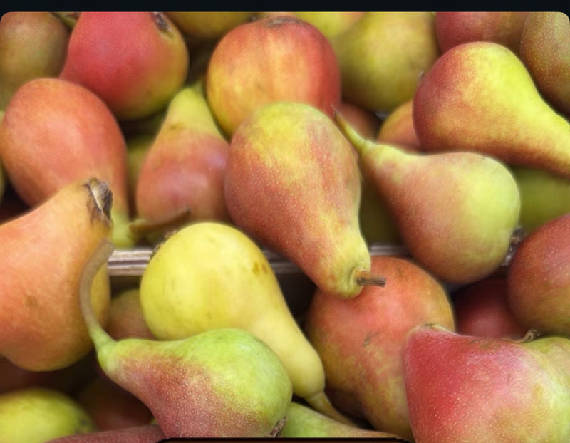 Pear Akca