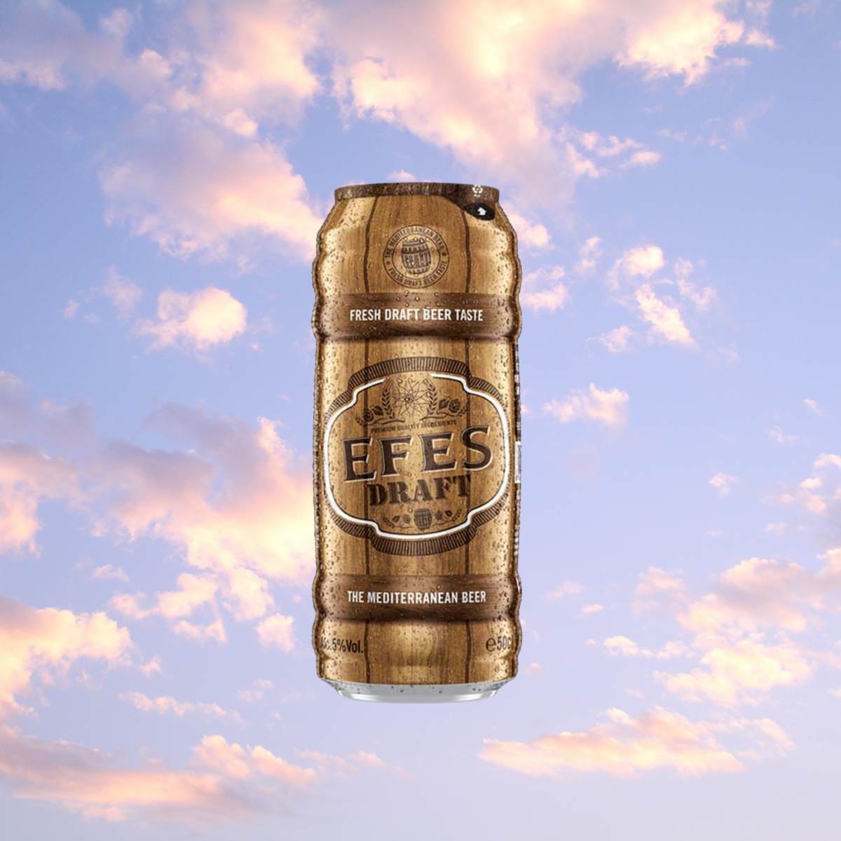 Efes Pilsen Draft Can