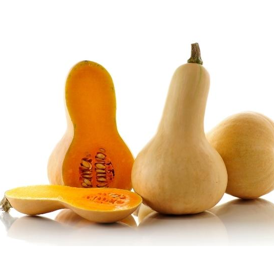 Butternut Squash