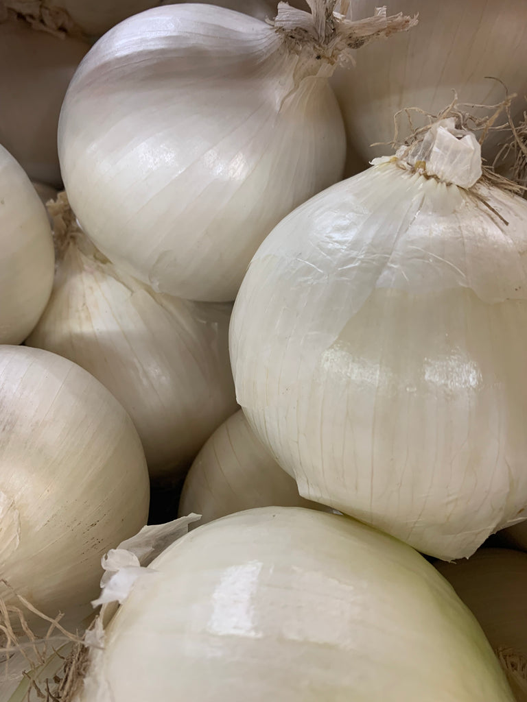 White Onion