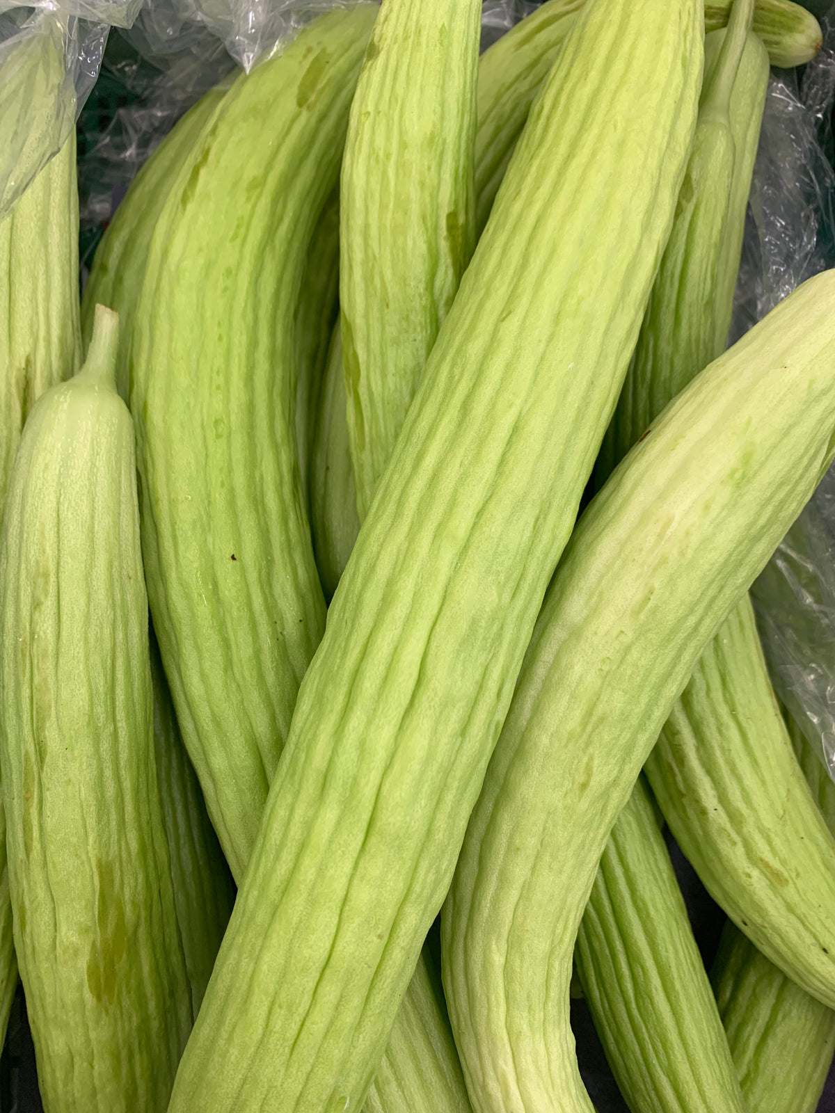 Cucumber Acur