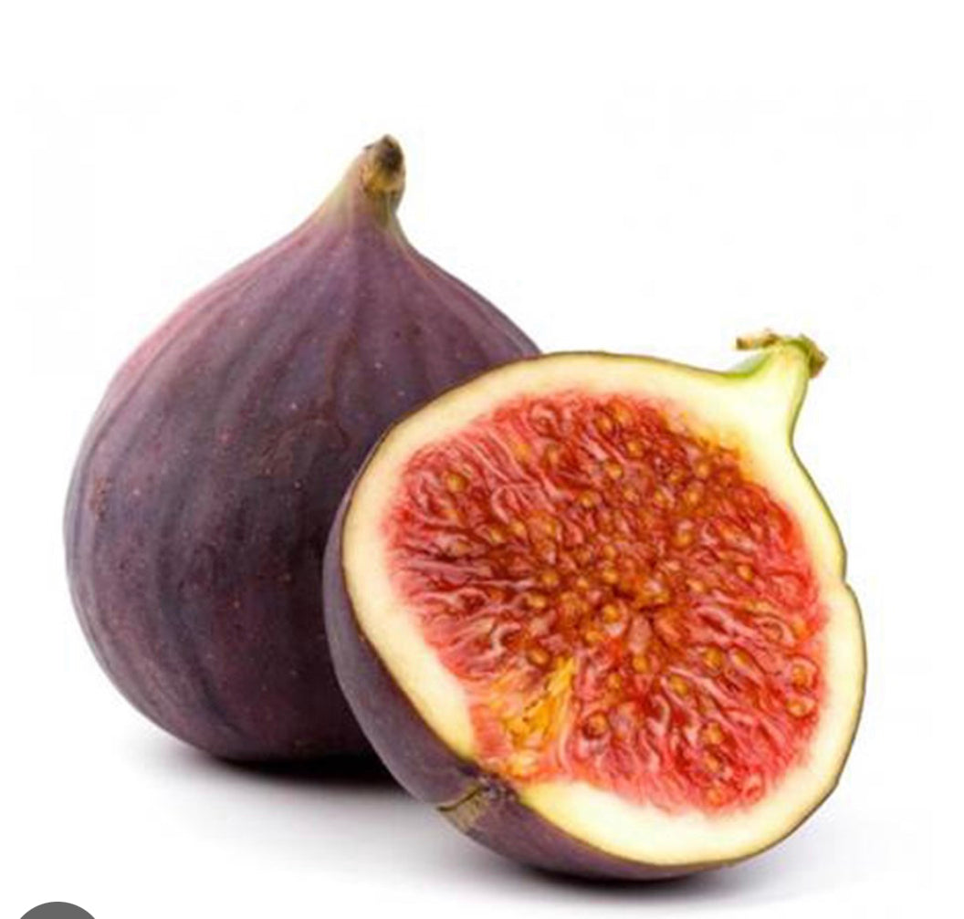 Fresh Fig