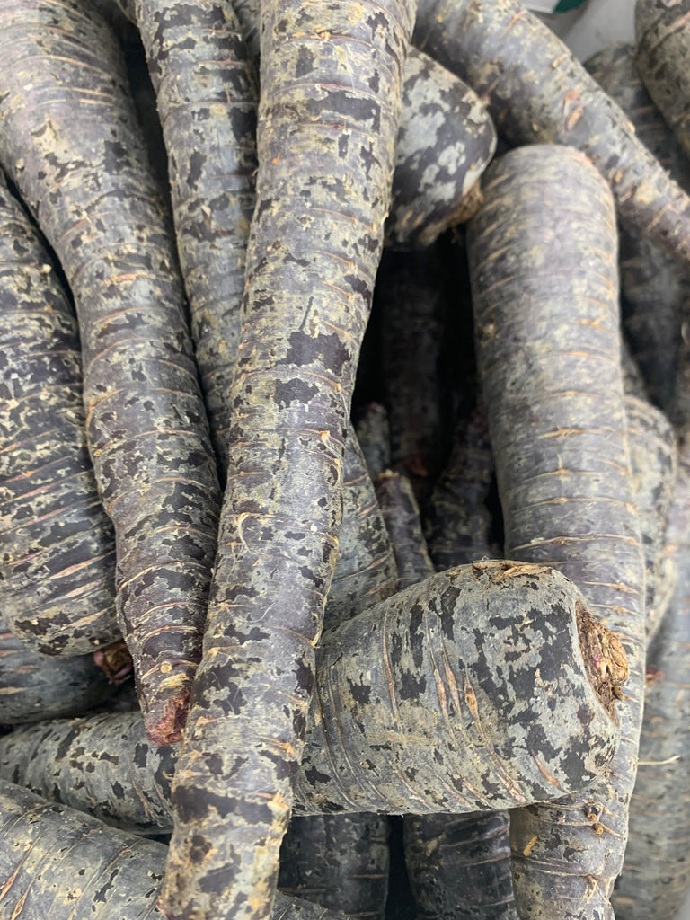 Black Carrot Turnip