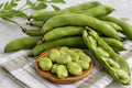 Fresh Broad Beans