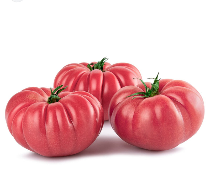 Pink Tomatoes