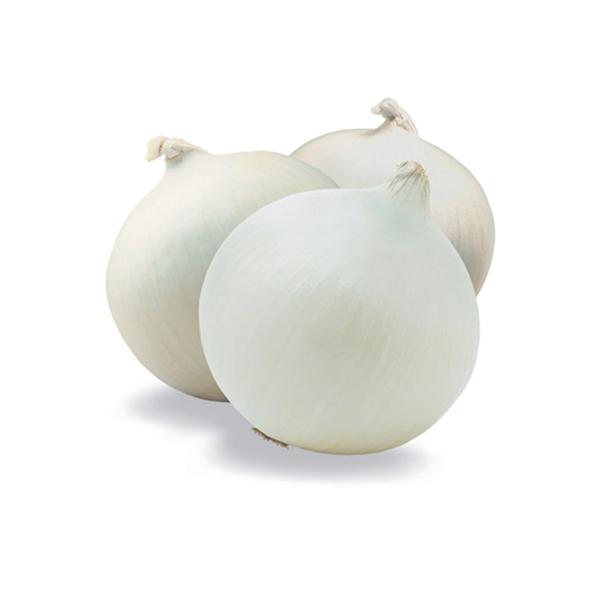 White Onion