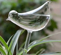 1pc Automatic Watering Device Shape Like a bird for plants