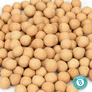 Bonvila Crunchy Chickpeas