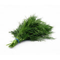 Dill - Dereotu