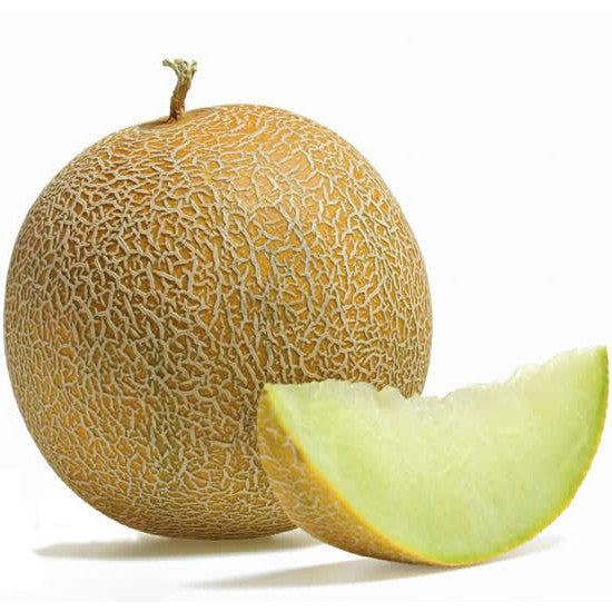 Galia Melon