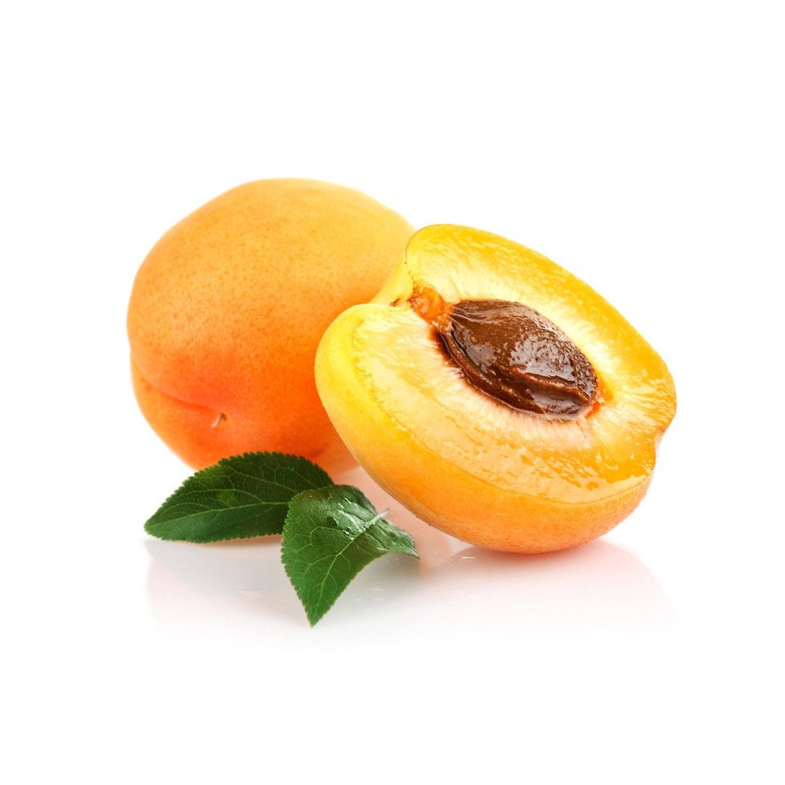 Apricot