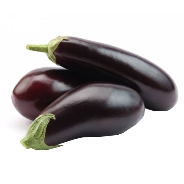 Patlican (Aubergine)