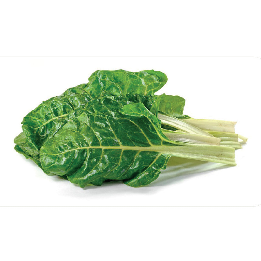 Pazı